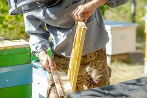 Imker setzt Rahmen im Bienenstock. Arbeit auf Bienenhaus im Sommer. Bienenzucht. Pflege zum Bienen. profitabel Hobby. foto