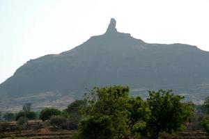 Besonderheit in der Natur foto