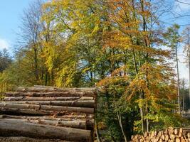 das teutoburg Wald im Deutschland foto