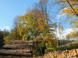 das teutoburg Wald im Deutschland foto