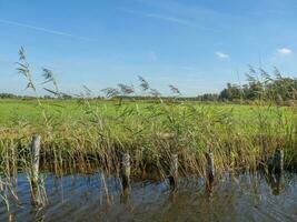 das klein Dorf von giethorn im das Niederlande foto