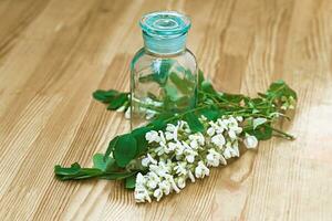 Bündel von Weiß Blumen Akazie in der Nähe von Flasche von Medizin. Sammlung von Kräuter im Jahreszeit. Geäst von schwarz Heuschrecke, Robinie Pseudoakazie, falsch Akazie. foto