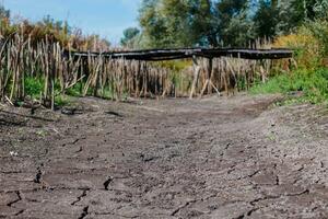 Unterseite von trocken See. Schilf entlang trocken See. trocken Schilf durch See. Ukraine ohne Wasser. foto