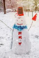 glücklich Schneemann mit Lächeln gegen das Hintergrund von Winter Landschaft während Schneefall foto