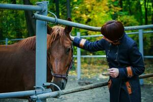 das Frau gebogen Nieder zu Schlaganfall das Pferd. das Pferd wendet sich Weg von das Fahrer. Pferd Rennen im das Wald. foto