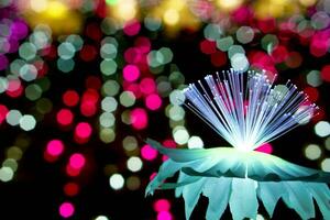Nahansicht Beleuchtung Blumen mit Licht glühend oben auf bunt verschwommen und Bokeh auf Nacht Zeit Hintergrund foto