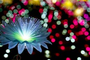 Nahansicht Beleuchtung Blumen mit Licht glühend oben auf bunt verschwommen und Bokeh auf Nacht Zeit Hintergrund foto