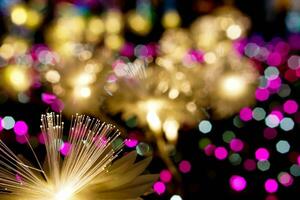 Nahansicht golden Beleuchtung Blumen mit Licht glühend oben auf bunt verschwommen und Bokeh auf Nacht Zeit Hintergrund foto