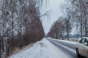 schneebedeckt Straße mit Birken ohne Laub. Auto Verlassen rahmen. gerollt Spur auf zuerst Schnee. Achtung von driftet. foto