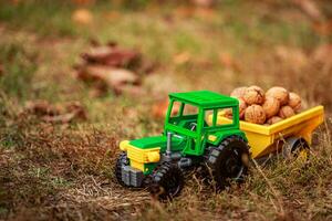 Grün Traktor trägt Nüsse im das zurück. Spielzeug Traktor mit ein Ernte von reif Walnüsse. Herbst Fotophon. foto