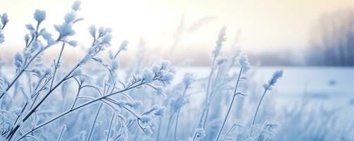 gefroren schneebedeckt Gras, Winter natürlich abstrakt Hintergrund. schön Winter Landschaft. ai generiert foto