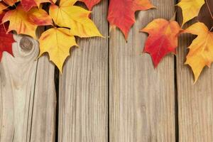 Herbst Hintergrund mit farbig Blätter. ai generativ Profi Foto