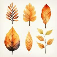 Sammlung von Herbst Blätter, Aquarell Illustration, einstellen foto