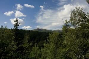 Landschaft von Natur foto