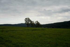 Landschaft von Natur foto