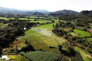 Landschafts-Reisfeld in Asien, Luftaufnahme von Reisfeldern