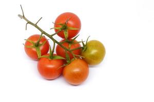 frische rote Tomaten auf weißem Hintergrund. Pflaume Tomate.