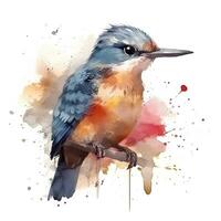 Aquarell Illustration von ein Vogel, Spatz, Meise, Clip Art auf ein Weiß Hintergrund foto