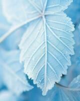 ein minimalistisch nehmen auf des Winters Schönheit, präsentieren gefroren Blätter auf ein Anlage.. generativ ai foto