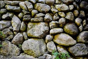 ein Stein Mauer mit Pflanzen foto