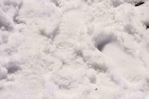 ein Schnee bedeckt Boden mit Fußabdrücke foto