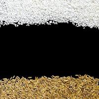 Ansicht von oben Paddy-Reis und Reissamen, braunes Reiskorn und Reishaufen. foto