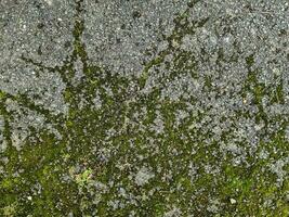 Asphalt Oberflächen von anders Straßen und Straßen mit Risse im schließen oben foto