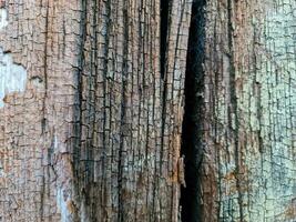 Holz Oberflächen zeigen Bretter und hölzern Wände foto