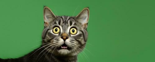 schockiert Katze minimal Retusche Grün Hintergrund. ai generiert foto