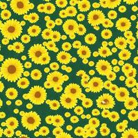 Gelb Gänseblümchen Blumen Hintergrund. Blume Hintergrund Hintergrund Design. ai generiert Bilder foto