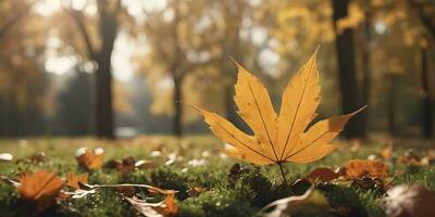 Herbst Jahreszeit Blätter Pflanze Szene ai generiert foto