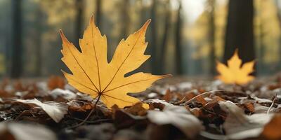 Herbst Jahreszeit Blätter Pflanze Szene ai generiert foto