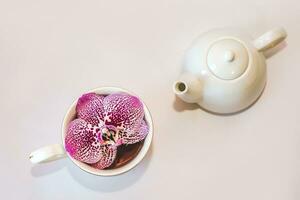 Weiß Keramik Teekanne Teekanne mit Orchidee auf ein Weiß Hintergrund. foto