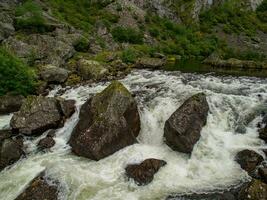 Sommer- Zeit im Norwegen foto