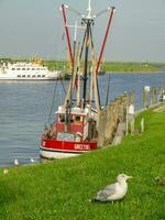 die Insel Spiekeroog foto