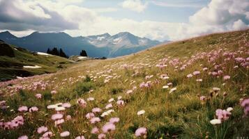 ein Feld von Gras und lila Blumen, Berge und ein hell Frühling Himmel im das Hintergrund. generativ ai foto