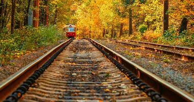 Herbst Wald durch welche ein alt Straßenbahn Fahrten Ukraine foto