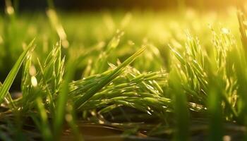 frisch Grün Gras im das Wiese, Natur beschwingt Schönheit draußen generiert durch ai foto