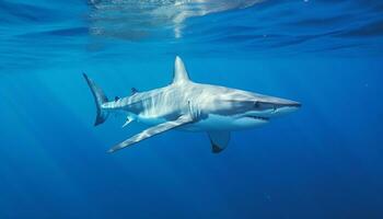 majestätisch unter Wasser Abenteuer Blau Riff, Riese Delfin Schwimmen im Bewegung generiert durch ai foto