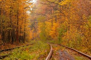 Herbstwald, zwischen dem eine seltsame Straßenbahn fährt foto