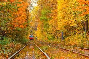 Herbst Wald durch welche ein alt Straßenbahn Fahrten Ukraine foto