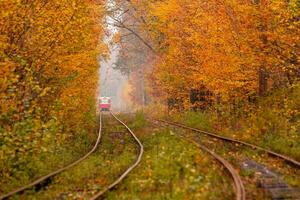 Herbstwald, zwischen dem eine seltsame Straßenbahn fährt foto