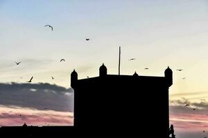ein Turm mit Vögel fliegend um es beim Sonnenuntergang foto
