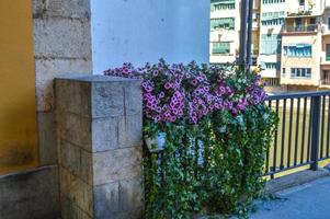 Blumenfest in Girona Temps de Flors, Spanien. 2018 foto