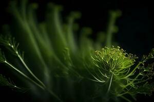 das Bild ist gezoomt im auf Fenchel, mit ein dunkel Hintergrund im ein Studio ai generiert foto