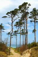 Baltikum Meer Landschaft foto