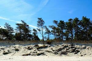 Baltikum Meer Landschaft foto