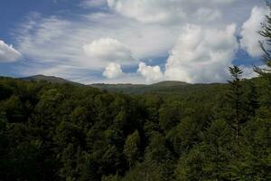 Landschaft von Natur foto