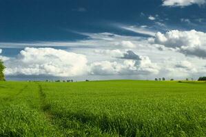 minimal Himmel Landschaft foto