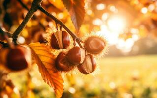 Nahansicht von frisch Kastanien auf beschwingt Herbst Wald. ai generativ foto